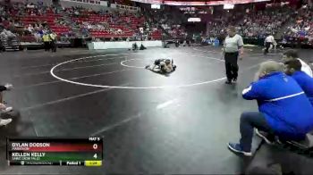 D3-113 lbs Champ. Round 1 - Kellen Kelly, Saint Croix Falls vs Dylan Dodson, Marathon