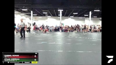 98 lbs Round 1 (4 Team) - Gabriel Roman, TSB vs Ethan Andrula, Savage WA Black