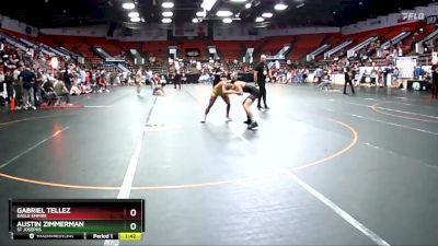 119 lbs Cons. Round 3 - Austin Zimmerman, St Josephs vs Gabriel Tellez, Eagle Empire