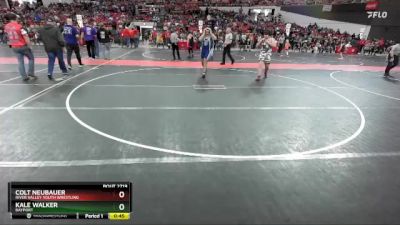 210 lbs Quarterfinal - Colt Neubauer, River Valley Youth Wrestling vs Kale Walker, Bayport