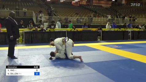 XIN YAO vs NATASHA DILLON 2024 Pan Jiu Jitsu IBJJF Championship