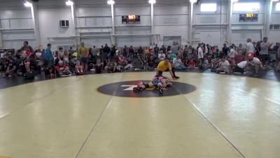 95 lbs Round 3 - Ethan Halstead, Backyard Brawlers vs Tavin Shaffer, 84 Athletes (VA)