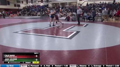 113 lbs Semifinal - Cale Nash, Clear Creek-Amana vs Jake Haugse, Mount Vernon