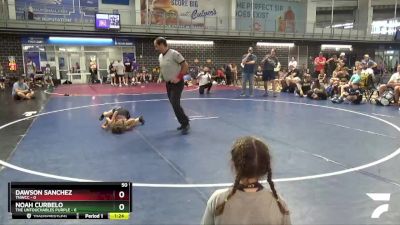 50 lbs Placement Matches (8 Team) - Noah Curbelo, The Untouchables Purple vs Dawson Sanchez, TNWCC