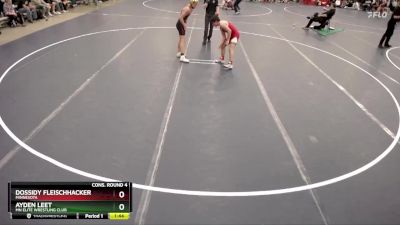 132 lbs Cons. Round 4 - Ayden Leet, MN Elite Wrestling Club vs Dossidy Fleischhacker, Minnesota