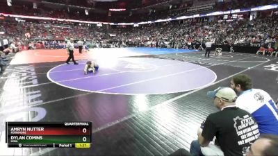 D3-120 lbs Quarterfinal - Amryn Nutter, Fennimore vs Dylan Comins, Lena