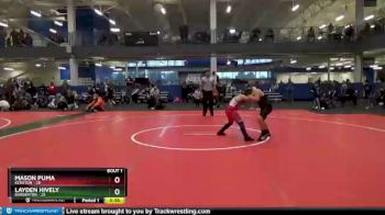100 lbs Finals (2 Team) - Layden Hively, Barberton vs Mason Puma, Kenston