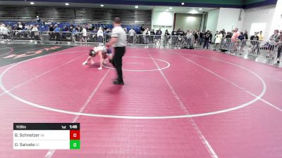 113 lbs Round Of 128 - Bryce Schnelzer, VA vs Owen Salvato, SC