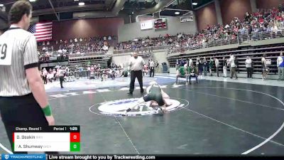 Champ. Round 1 - Aaron Shumway, Green Canyon vs Dustyn Deakin, Bear River