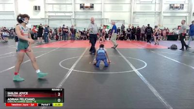 92 lbs Round 3 (10 Team) - Adrian Feliciano, Carolina Hammer Squad vs Shiloh Joyce, Ohio Gold 24K