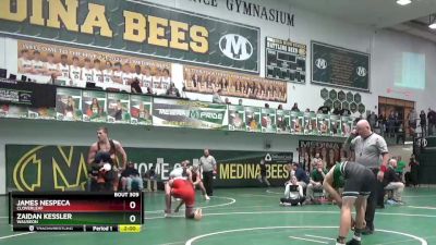 165 lbs Quarterfinal - James Nespeca, Cloverleaf vs Zaidan Kessler, Wauseon