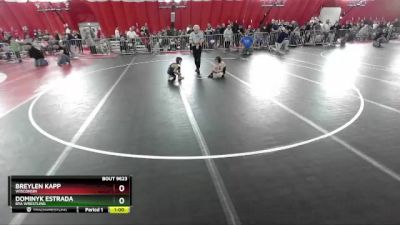 56-60 lbs Round 1 - Dominyk Estrada, BYA Wrestling vs Breylen Kapp, Wisconsin