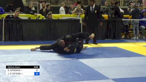 SIGIFREDO APODACA vs JAMES P. PETERS 2024 Pan Jiu Jitsu IBJJF Championship