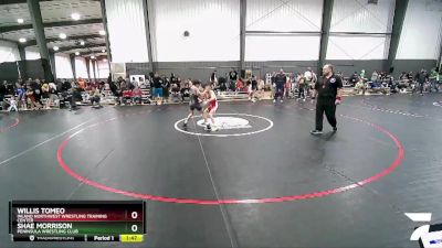 83-87 lbs Quarterfinal - Willis Tomeo, Inland Northwest Wrestling Training Center vs Shae Morrison, Peninsula Wrestling Club