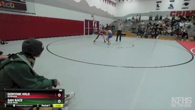 90 lbs 1st Place Match - Domynik Wild, Riverside vs Sam Race, Deer Park