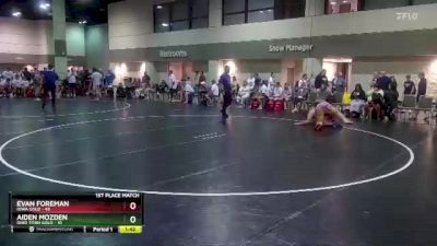 220 lbs Placement Matches (8 Team) - Evan Foreman, Iowa Gold vs Aiden Mozden, Ohio Titan Gold