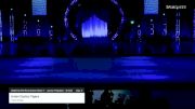Union Coutny Tigers - Youth Cheer [2021 Sideline Performance Cheer 1 - Junior Peewee - Small Day 3] 2021 Pop Warner National Cheer & Dance Championship