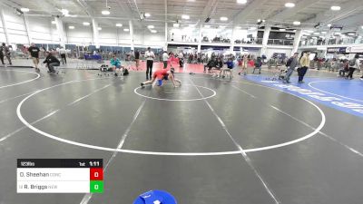 123 lbs Quarterfinal - Daniel Sheehan, Concord NH vs Ryan Briggs, New England Gold WC