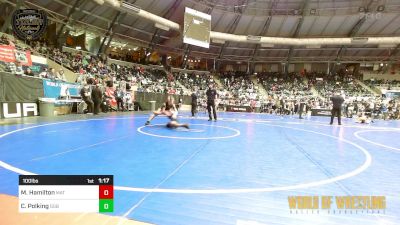 100 lbs Quarterfinal - Mercer Hamilton, Mat Demon Wrestling Club vs Cameron Polking, GGB Ohio