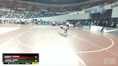 6A-132 lbs Cons. Round 5 - Carson Terry, South Medford vs Andrey Cernev, Sprague