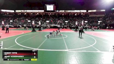 85 lbs Quarterfinal - Henry Hodermarsky, SLN1 vs Robert Tippie, DWA