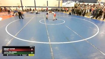 125 lbs Cons. Round 4 - Brady Ester, Wabash vs Luca Paladino, UW-Stevens Point