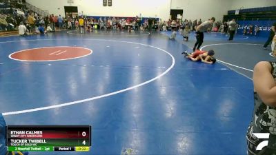 67 lbs Cons. Round 5 - Ethan Calmes, Windy City Wrestlers vs Tucker Twibell, Touch Of Gold WC