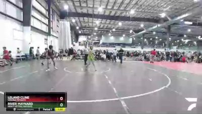 100 lbs Quarterfinal - Leland Cline, Virginia Patriots vs River Maynard, Heavy Hitting Hammers