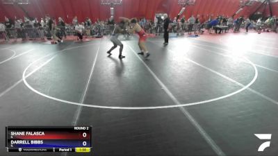 250 lbs Round 2 - Shane Falasca, IL vs Darrell Bibbs, IL