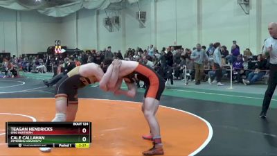 165 lbs Quarterfinal - Cale Callahan, Otterbein University vs Teagan Hendricks, Ohio Northern