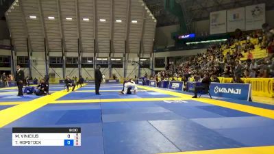 MARCUS VINICIUS RIBEIRO DE SIQUE vs TARIK HOPSTOCK 2019 World Jiu-Jitsu IBJJF Championship