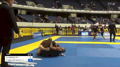 DONALD MARCELIN vs THOMAS WALTER HALEY LINZY 2022 World IBJJF Jiu-Jitsu No-Gi Championship