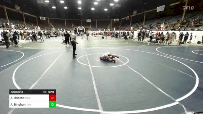 74 lbs Consi Of 4 - Austin Urioste, Wolfpack Wr Ac vs Asher Bingham, Division Bell Wrestling