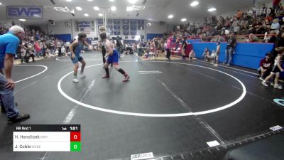 120-131 lbs Rr Rnd 1 - Henry Hanzlicek, Smith Wrestling Academy vs Jase Coble, Division Bell Wrestling