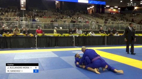 MANNY SANCHEZ vs JOSE ALEJANDRO MORADEL 2024 Pan Jiu Jitsu IBJJF Championship