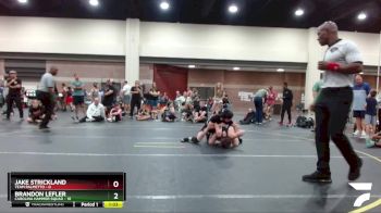 85 lbs Finals (8 Team) - Jake Strickland, Team Palmetto vs Brandon Lefler, Carolina Hammer Squad