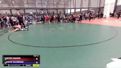 113 lbs Cons. Round 3 - Carter Dawson, OR vs Landon Salindong, CA