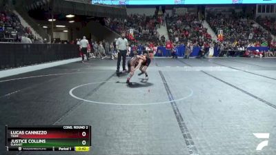 68 lbs Cons. Round 2 - Lucas Cannizzo, Tiger vs Justice Collins, Elkhart