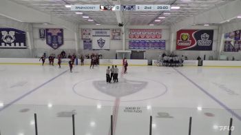 Replay: Home - 2024 Cyclones vs WBS Knights | Feb 17 @ 2 PM