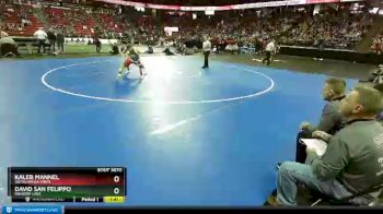 D3-126 lbs Quarterfinal - Kaleb Mannel, Weyauwega-Frem. vs David San Felippo, Random Lake