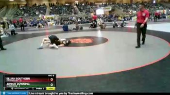 145 lbs Semis & 1st Wrestleback (8 Team) - Junior Downing, 5A Redmond vs Elijah Southern, 5A Thurston