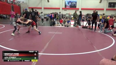 75 lbs Cons. Semi - Levi Stanely, Gulf Coast Wrestling Club vs Brentley Mabe, Brute Force Wrestling