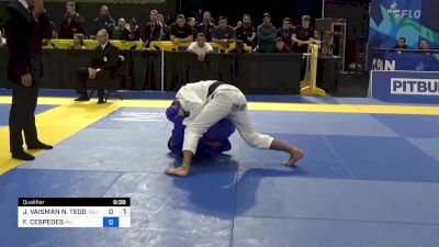 JORDAN VAISMAN N. TEODOSIO SILVA vs FRANK CESPEDES 2024 Pan Jiu Jitsu IBJJF Championship