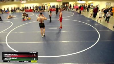 250 lbs Cons. Semi - Jake Simpkins, Minnesota vs Mason Ziebell, Minnesota