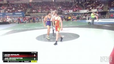 D 2 132 lbs Champ. Round 2 - Jacob DePhilips, Parkway vs Jake Brandstetter, Archbishop Rummel