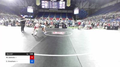 100 lbs Rnd Of 16 - Mia Galindo, Virginia vs Camryn Gresham, Ohio