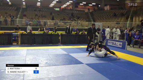JENNA MATTERA vs DANIELLE MARIE HULVEY 2024 Pan Jiu Jitsu IBJJF Championship