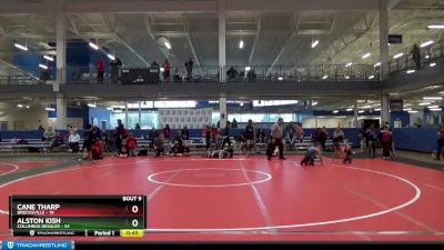 95 lbs Round 3 (8 Team) - Alston Kish, Columbus Desales vs Cane Tharp, Brecksville