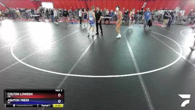 160 lbs Quarterfinal - Colton Loween, MN vs Ashton Miess, WI