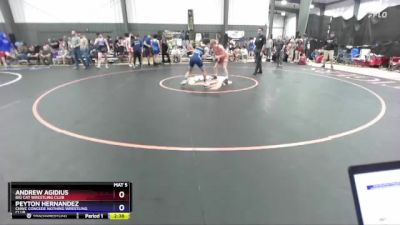 126 lbs Semifinal - Andrew Agidius, Big Cat Wrestling Club vs Peyton Hernandez, CNWC Concede Nothing Wrestling Club